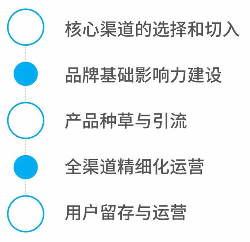 好產(chǎn)品互聯(lián)網(wǎng)營銷攻略 從品質(zhì)到流量的全方位打法